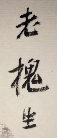老槐生
