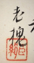 老槐